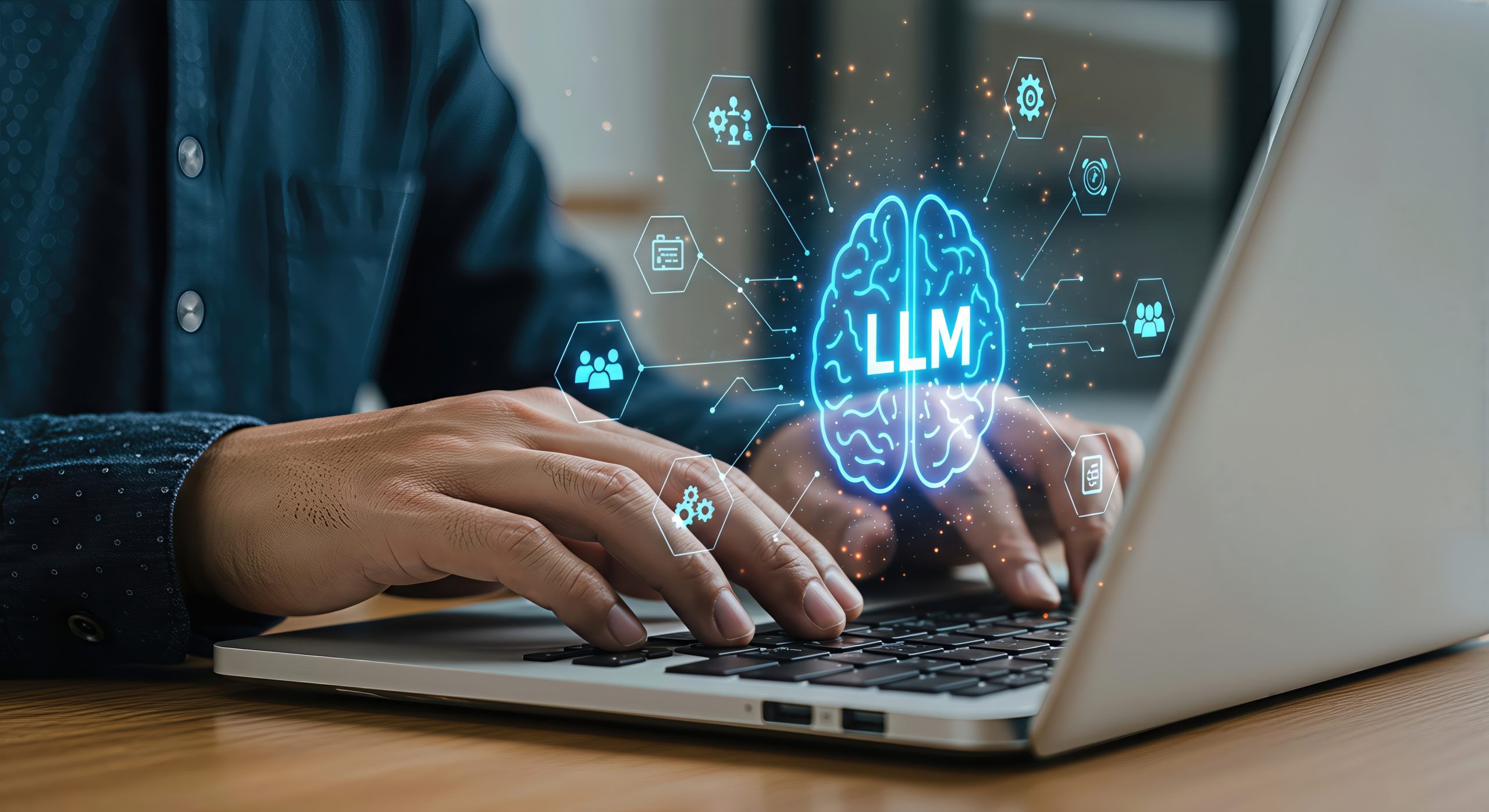 What is LLM Customization